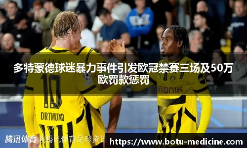 多特蒙德球迷暴力事件引发欧冠禁赛三场及50万欧罚款惩罚